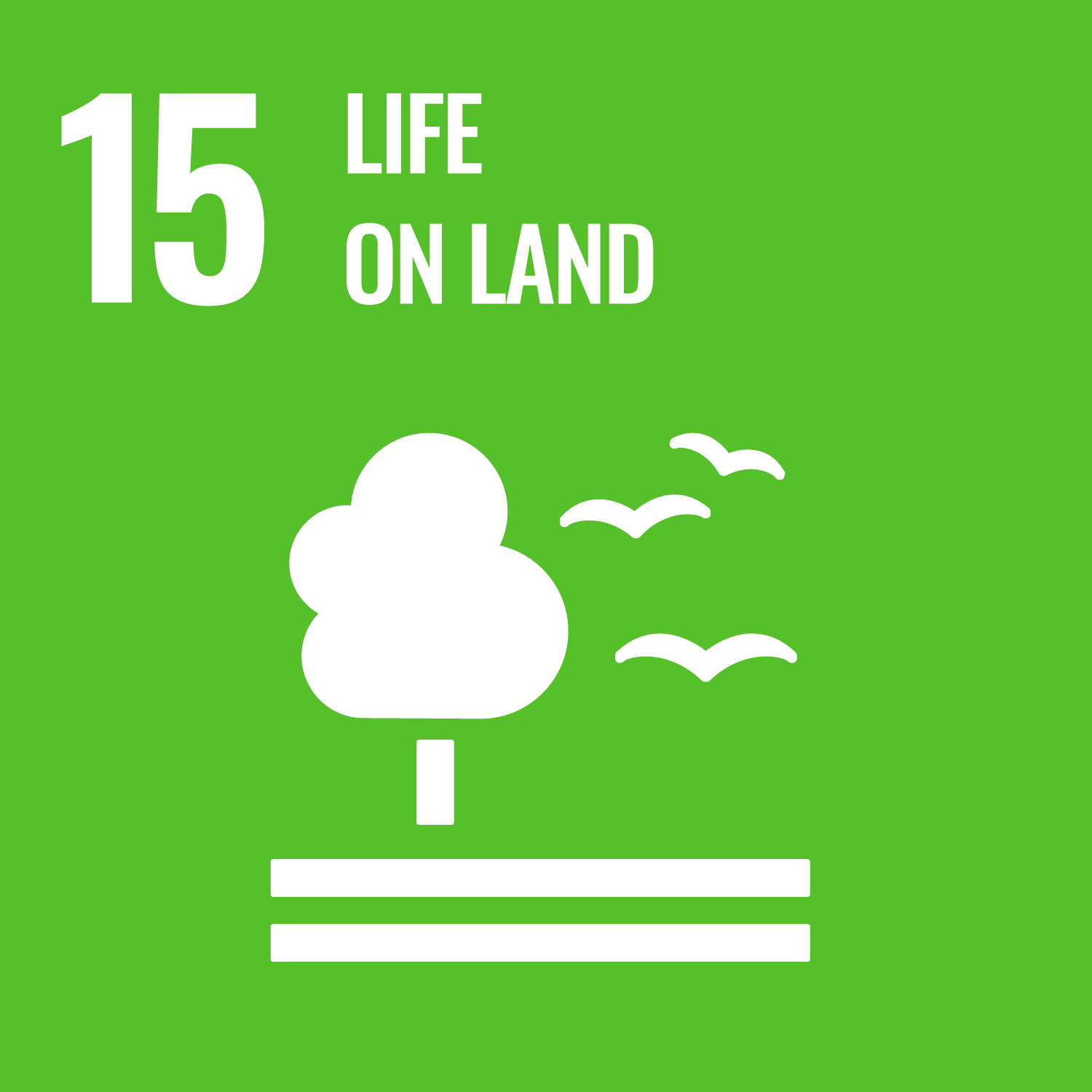 지속가능성 발전목표(UN-SDGs) Goal 15. Life on Land